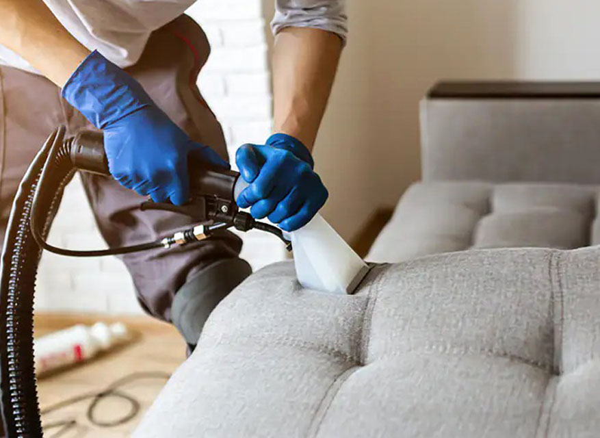 Upholstery Care Guidelines